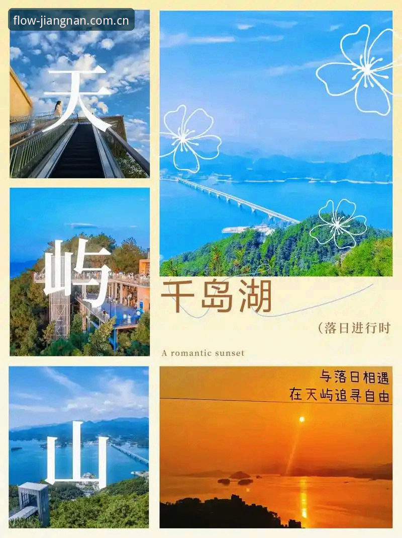 江南体育平台2026电脑端赛事入口深度评测：一个老用户的血泪史与避坑指南
